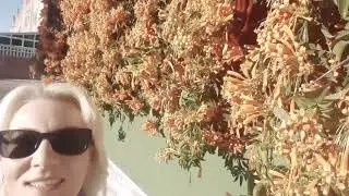 МОИ ИСПАНСКИЕ БУДНИ.РАБОТАТЬ РАБОТАТЬ)))ДОЙТИ ДОЕХАТЬ ДОКАТИТСЯ))) ВООООТ)😁