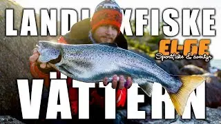 VÄTTERN | Landfiske efter lax | EL-GE Sportfiske