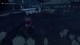 Ghost of Tsushima New Game + with Vectormage
