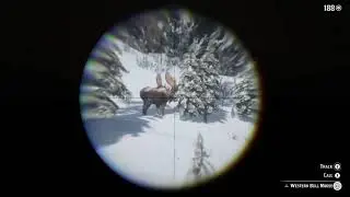Get Moose perfect pelt kill with rolling block rifle - Red Dead Redemption 2