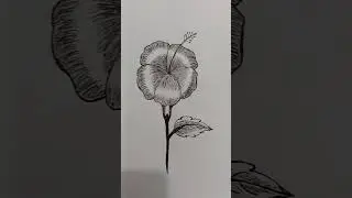 haw to chaina rose drawing #shorts