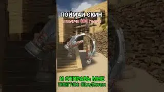 19 августа 2024 г.