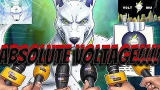 VOLT INU to 500X!!!??… The NEXT SHIBA INU!!!😱🔥 