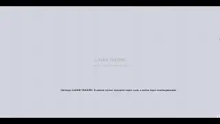 Дискорд LiAHiM TRADiNG  В каком случае заходить через слом, а когда через подтверждение