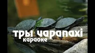 N.R.M. – «Тры чарапахі» караоке | «Try čarapachi» | «Three Turtles» Belarusian Karaoke