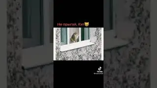 Не прыгай КIТ, tiktok, тик ток лучшее, приколы,