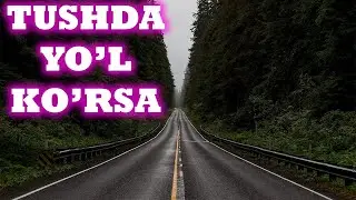 Тушда йўл кўриш ва йўлда юриш