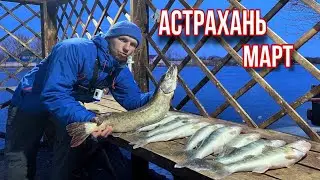 ПРИРОДА ПРОСЫПАЕТСЯ. ВЕСНА! ГОЛОДНЫЕ поКЛЕВки РаДуюТ: 15 СУДАКов, 5 ЖЕРЕХов, ЩУКА. АСТРАХАНь. ДЖИГ