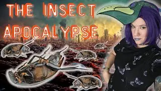 Where Have All The Bugs Gone? Deep Dive