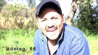 Los choclos