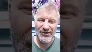 любить Родину не значит целовать жопу начальника
