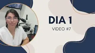 #7 DIA 1