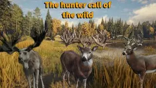 Whats next for the channel