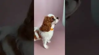 Результат в конце 💕 А ещё в профиле есть видео с процессом создания другой 