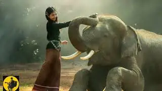Krishana Flute music || Meditation music