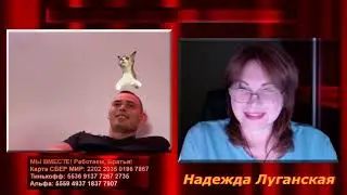 Польский кот-переводчик и 