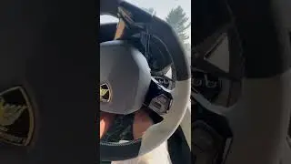 Lamborghini Aventador SVJ Cold Start #cartok