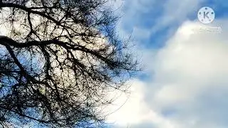 Это Небо... Сегодня для тебя! С Днем Рождения, Коля Борисович! 🥰
