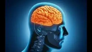 جلسة تنقية العقل اللاواعي من السلبيات بذبذبات عالية مع توكيدات ترفع من مستوي الأستحقاق