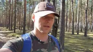 У берегов Клязьмы. Петушки.