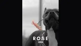 (FREE) PLK Type Beat 2023 - ROSE