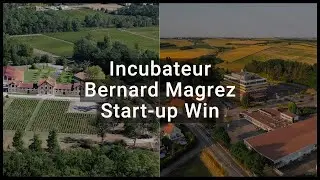Incubateur Start-up Win 2023 - Découvrez nos programmes uniques