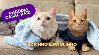 PARÓDIA MÚSICA CASAL RAIZ VERSÃO GATINHOS COM PEDRINHO E PAULINHO