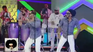 Amarfis el tallo