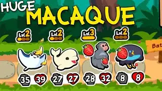 I Want To Show You Macaque! | Super Auto Pets