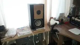 Тест отремонтированного Cameron CAS 163 в ФИ
