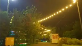 Вечерний полет над парком . 