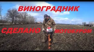61. КУПИЛИ УСАДЬБУ, ВОССТАНАВЛИВАЕМ! Закладка виноградника. Часть первая.