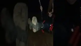 осел застрял в качелях