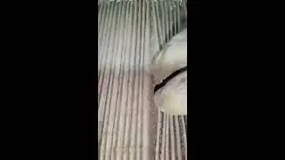How to change cabin filter in OPEL/ VAUXHALL ASTRA G