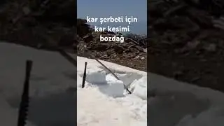 15 Haziran 2024