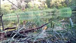 Рыбалка