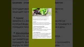 Базилик - отличный природный антибиотик #базилик  #полезнознать #здоровье #полезнознать