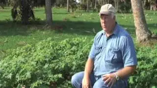 Tropical Soda Apple: A Rancher's Perspective