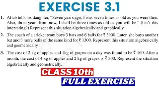 Pair of Linear Equations in Two Variables Class 10 Ex 3.1