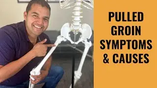 Pulled Groin Muscle   Everything You Absolutely Need To Know