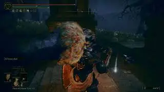 BACKHAND BLADE LOCATION - ELDEN RING SHADOW OF THE ERDTREE