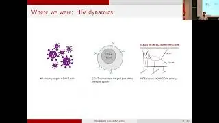 What can viral dynamics teach us about modelling immunotherapies?