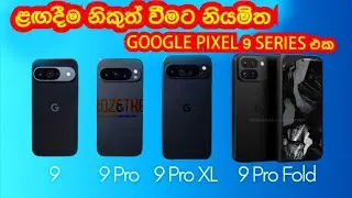 Google Pixel 9 series leak