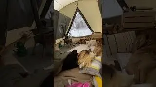 SNOW CAMP AT -20 DEGREES STORM