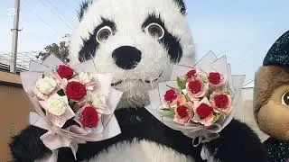 Конибодом 2024