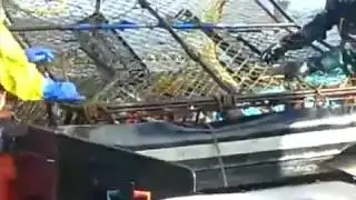 Лов камчатского краба в Беринговом море