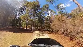 Poinsett State Park - the drive in and around the campground