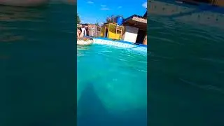 КУПАЛЬНЫЙ СЕЗОН ОТКРЫТ