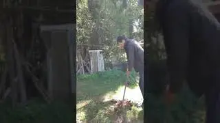 #дача#лето#уборка