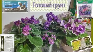 Какие торфогрунты хороши для фиалок? (Список)